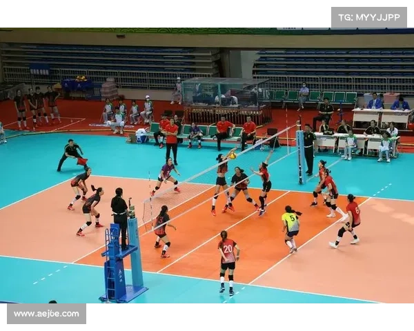 2021年湖北省排球比赛 2021年湖北省排球比赛