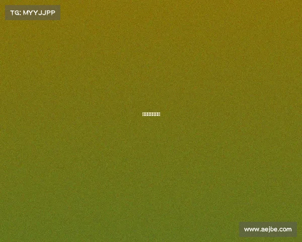 武网是什么意思 武网是什么意思